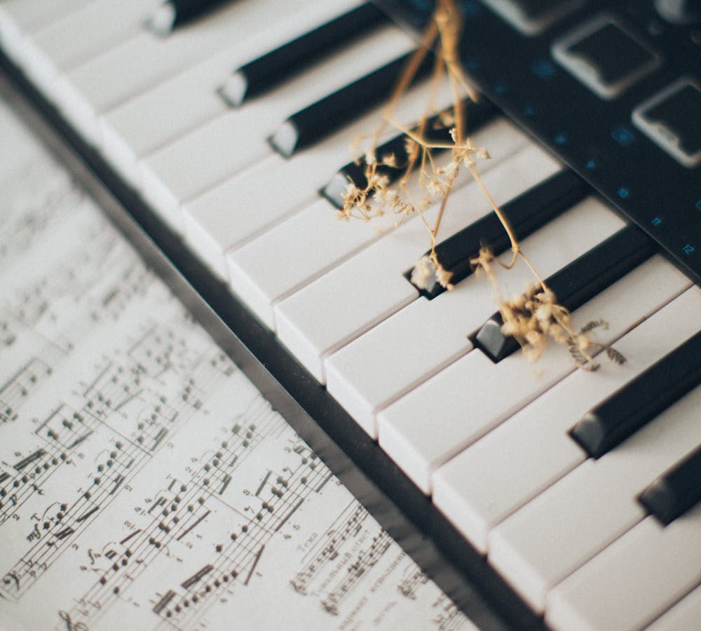 pexels-photo-3971983-1